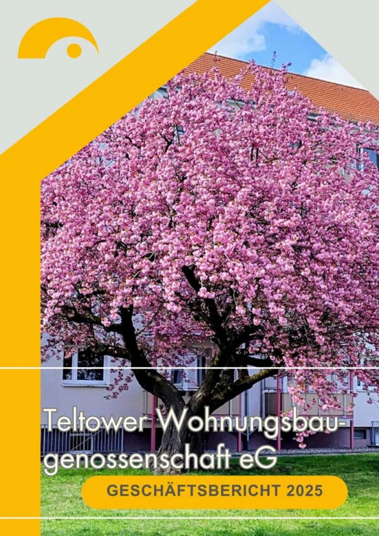 Geschäftsbericht 2025